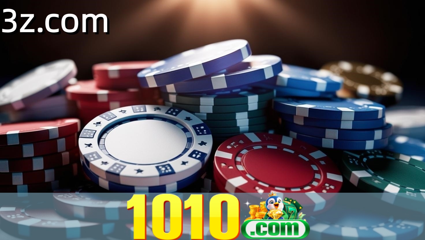 Security Systems 1010